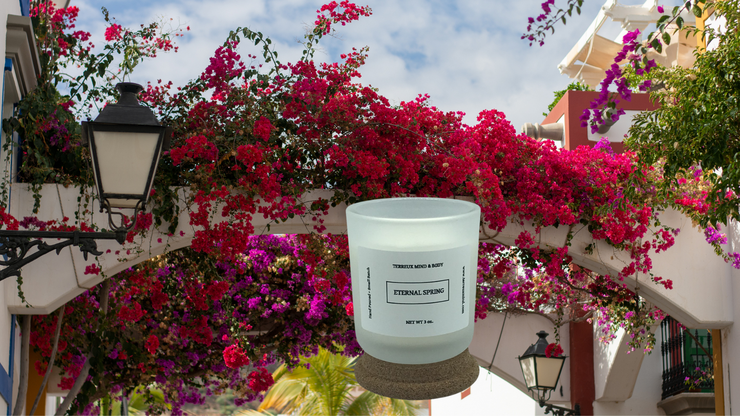 3.5 oz Soy Candle - Frosted Glass Jar, 5 scents | Terreux Mind