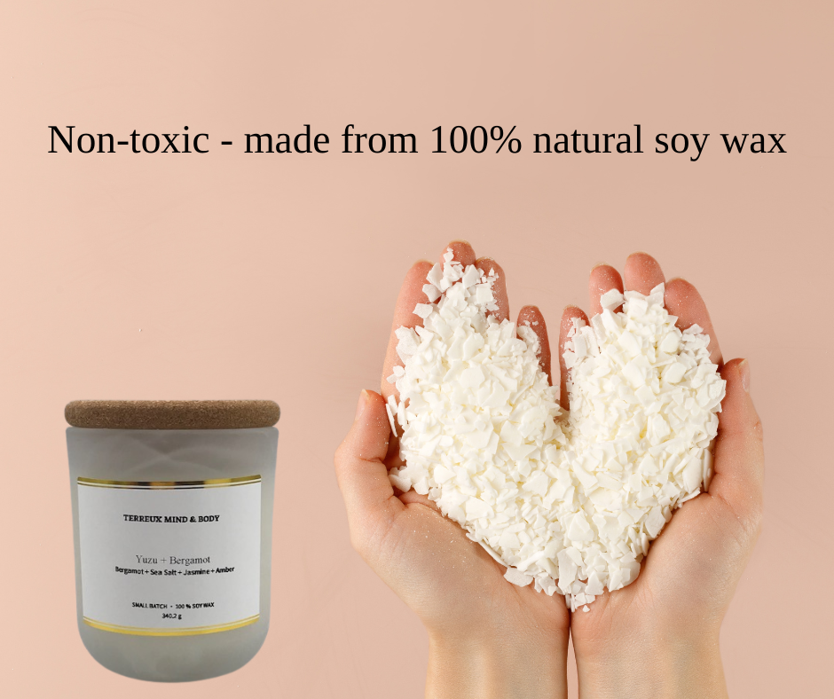 Citrus & Bergamot Soy Candle - 8.5 oz Frosted Glass, Cotton Wick | Terreux Mind