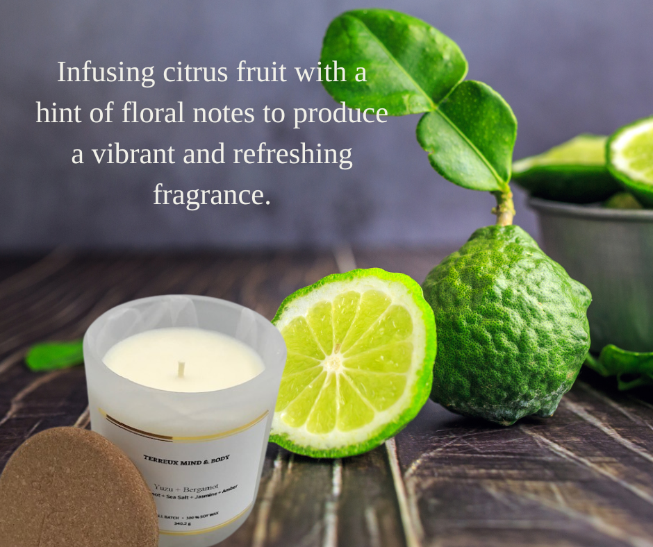 Citrus & Bergamot Soy Candle - 8.5 oz Frosted Glass, Cotton Wick | Terreux Mind