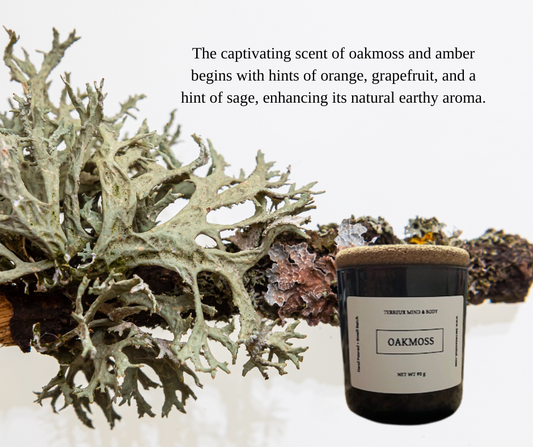 3.5 oz Scented Candle for Men by Terreux Mind and Body